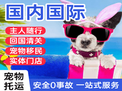 嫩江墨尔根机场快运国际宠物托运 【国